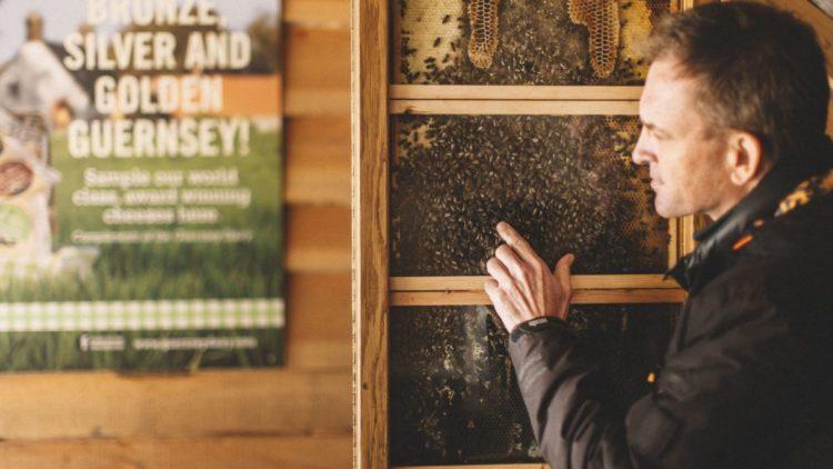 More tourists mean a record year for Rocquette Cider