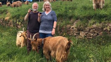 Golden Guernsey Goat Farm