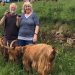 Golden Guernsey Goat Farm