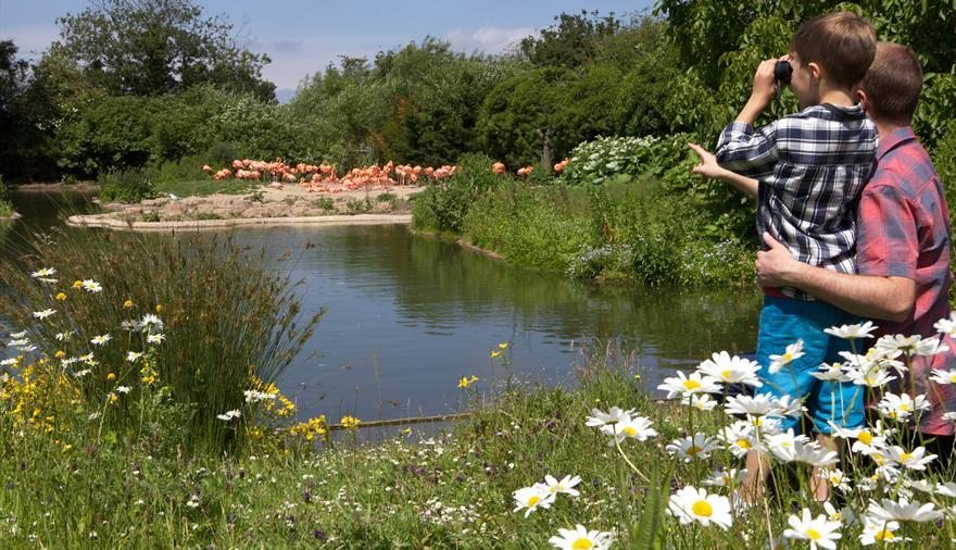 bristol outdoor spaces