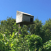 Guernsey Electricity supports high rise living for feathered friend