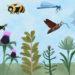 Pollinator project