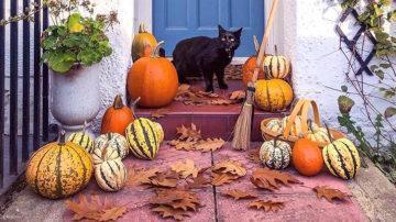 Halloween