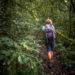 Jungle trek