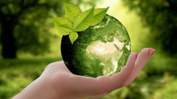 Guernsey’s sustainable finance explores benefits for life insurers