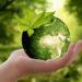 Guernsey’s sustainable finance explores benefits for life insurers