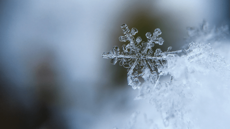 Tips on how to stay safe and look out for one another this winter