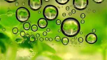 Biofuel bubbles