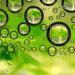 Biofuel bubbles