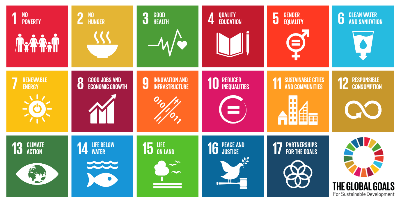 Sustainable development goals UN SDG