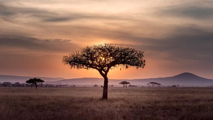 Tanzania Africa