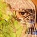 ArtHouse uses technology to overcome barriers to international collaboration