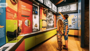 Islanders able to enjoy ‘free entry day’ at Guernsey’s Museum