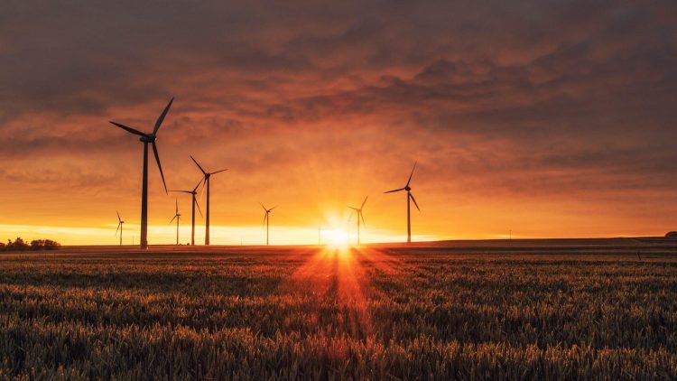 wind farm