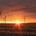 wind farm