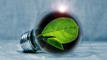 Environment focus: How utility companies are leading Guernsey’s green transition