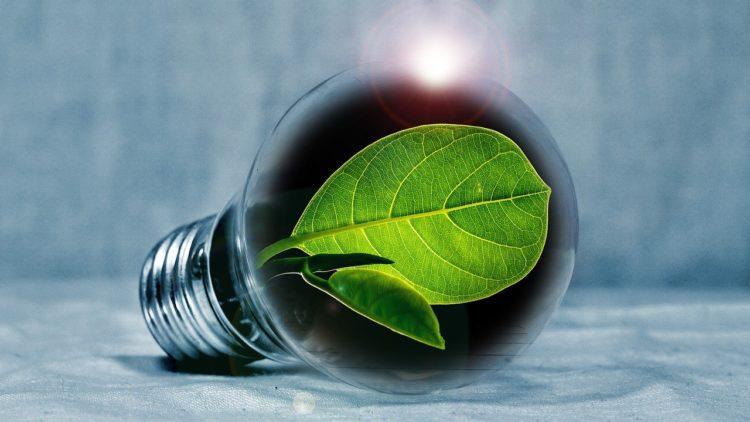 Environment focus: How utility companies are leading Guernsey’s green transition