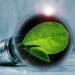 Environment focus: How utility companies are leading Guernsey’s green transition