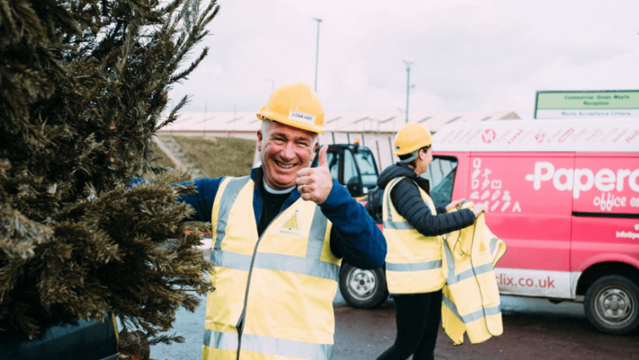 Hospice Christmas tree collection