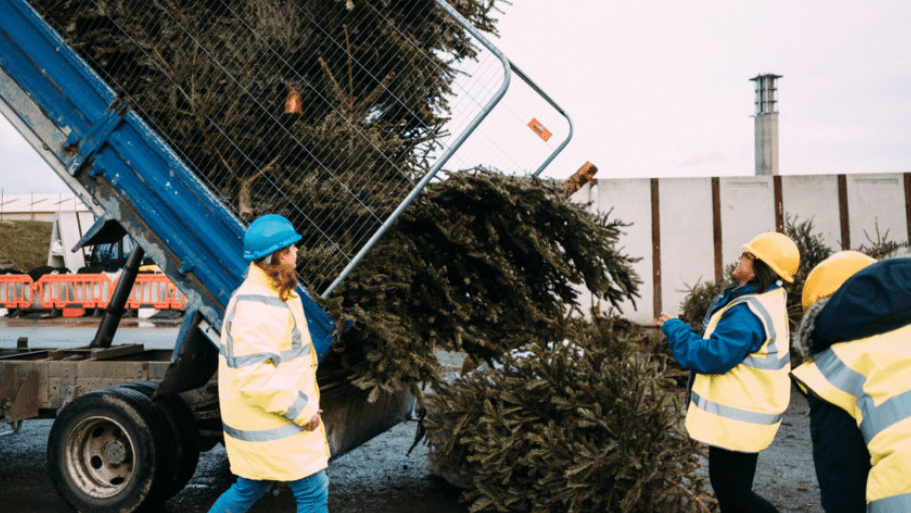 Hospice Christmas tree collection
