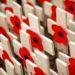 Poppy Appeal 2020 raises £200,000