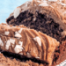 Recipe: Vegan coffee loaf