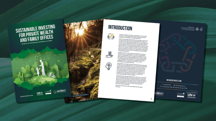 Guidance to help family offices embrace sustainable investing