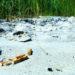 Cigarette smoking on beach