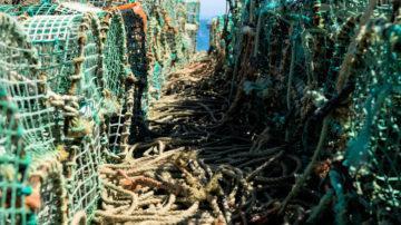 Lobster pots