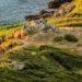 Islanders encouraged to sign up for this years Saffery Rotary Walk