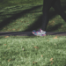 walk