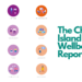 CI Wellbeing Report