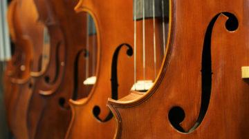 Music Double bass