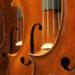 Music Double bass