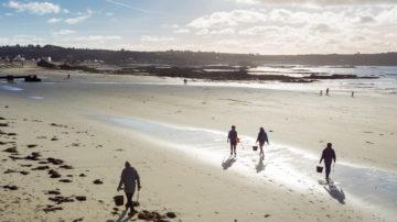 Savills Guernsey beach clean 01 16-9