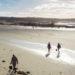 Savills Guernsey beach clean 01 16-9