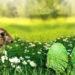 Easter Bunny eggs
