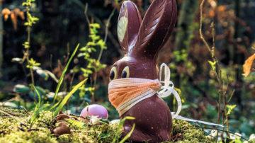 Easter bunny chocolate mask