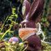 Easter bunny chocolate mask
