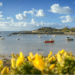 Sure Guernsey