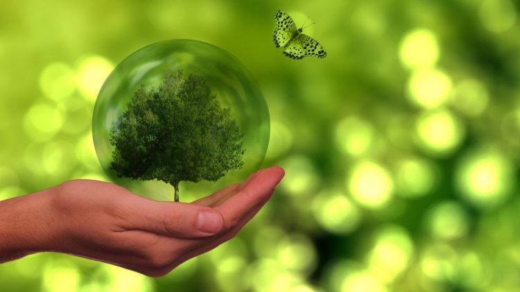 Sustainable sustainability green planet