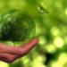 Sustainable sustainability green planet
