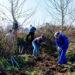 Work gets started on the GROW site
