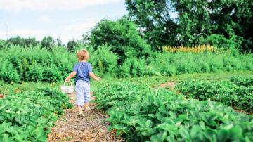 Child gardening