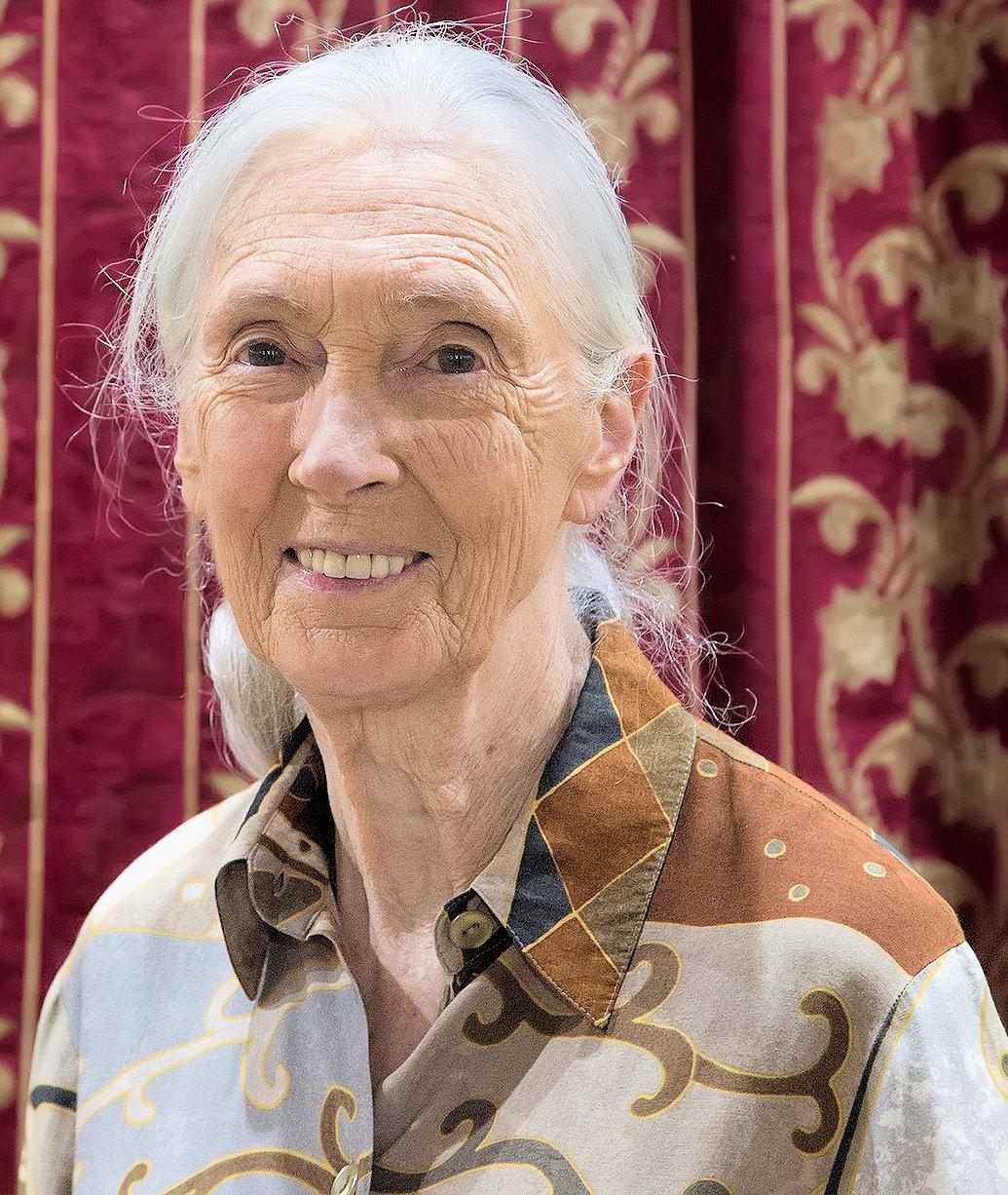 Dame Jane Goodall