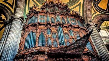 Organ