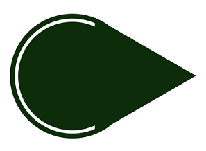 See Forward green logo