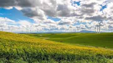 Wind farm