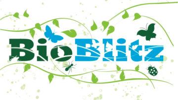BioBlitz logo