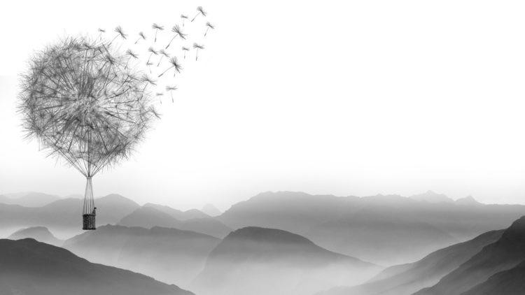 Dandelion